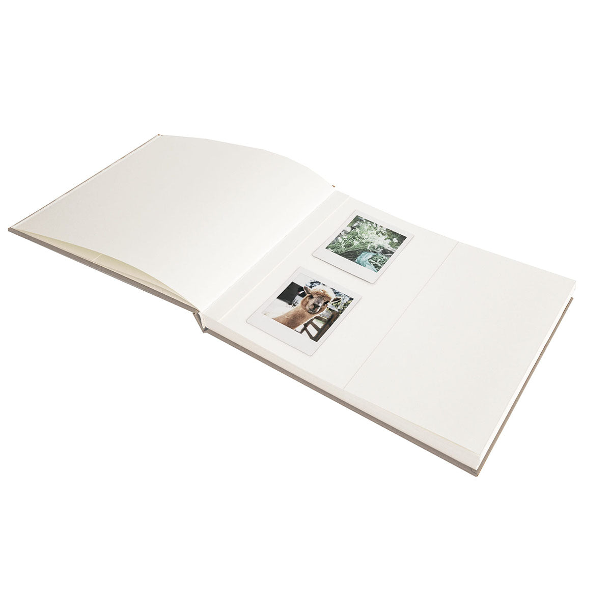 Guest Book – Len, Papergoods, księga gości, papierniczy design