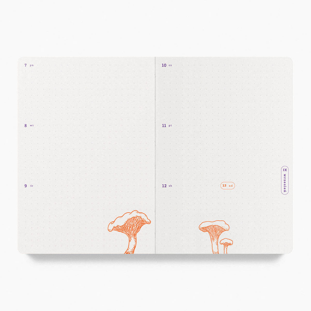 Pan Kalendarz 2026, Curated Paper, papierniczy design