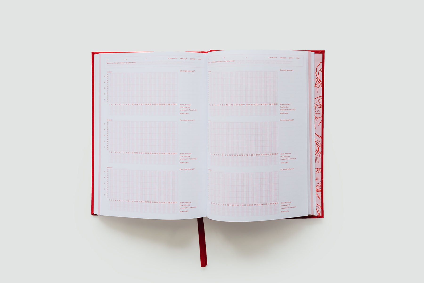 Planer MOC – Mapa Obserwacji Cyklu, Projekt Masterki, planner