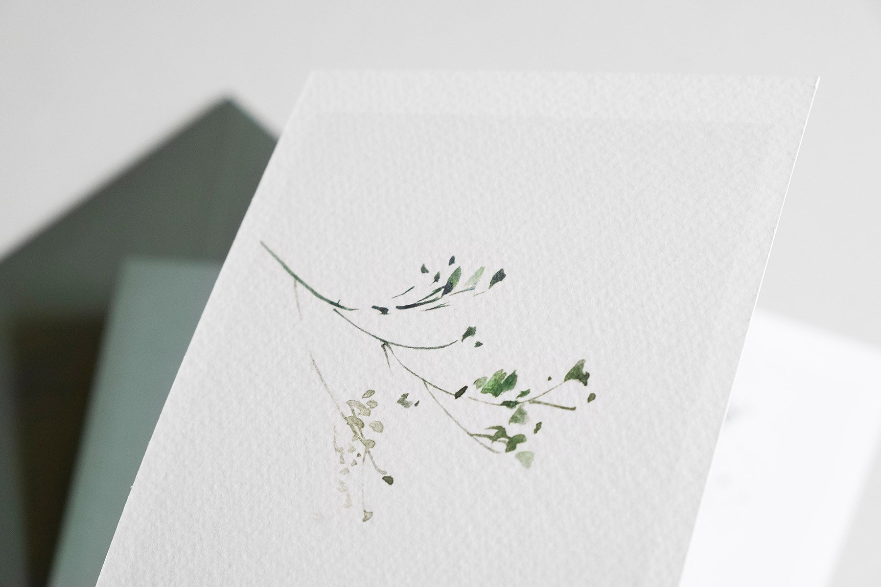 kartka herbarium, muska, kartka okolicznościowa, kartka ozdobna, kartka z motywem roślinnym, sklep papierniczy, dizajnerskie artykuły biurowe