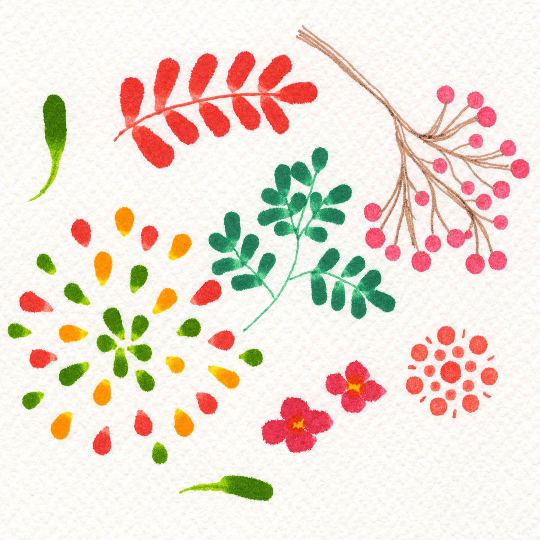 Kuretake Clean Color Dot, Kuretake, papierniczy design
