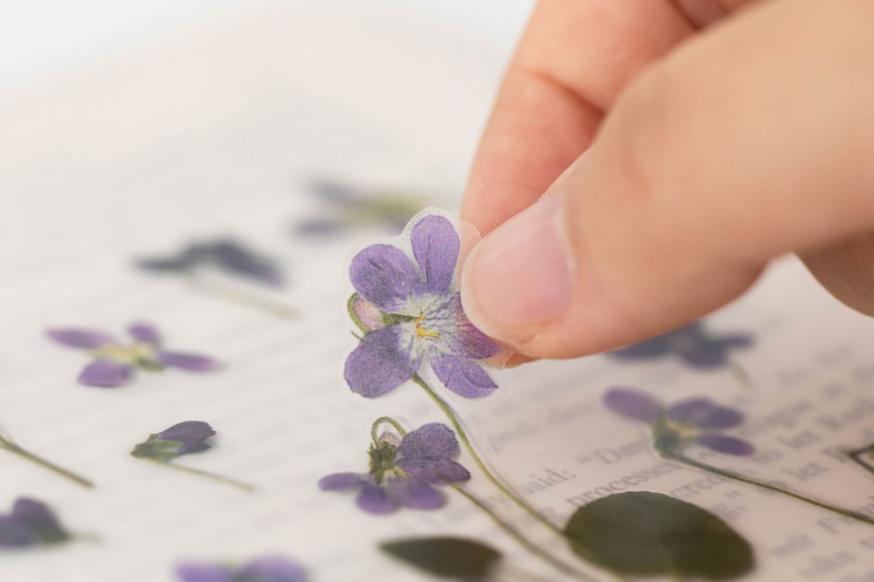 Ozdobne naklejki z kwiatowym motywem, Appree, design sklep papierniczy, domowe biuro