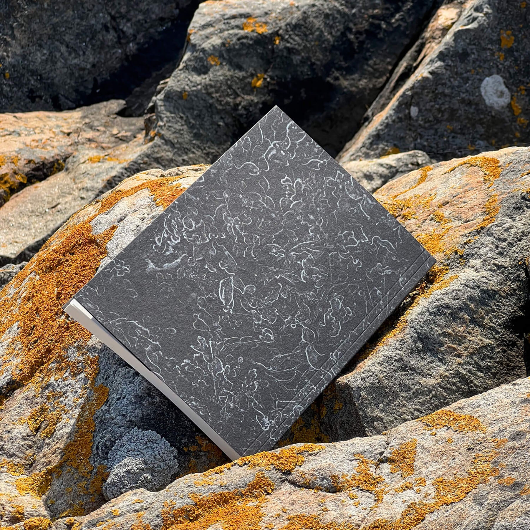Notatnik – Seaweed, Curated Paper, papierniczy design