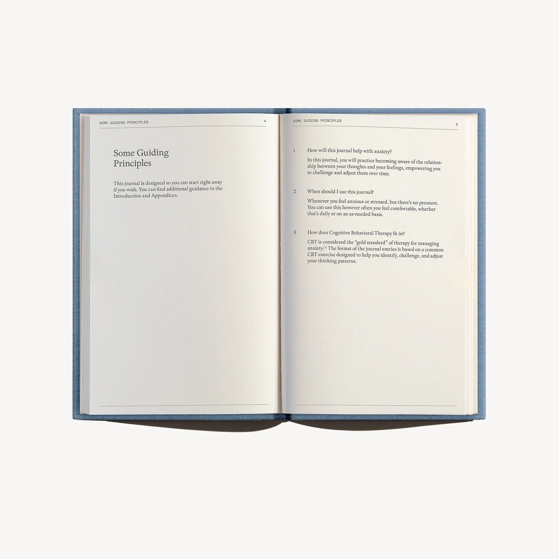 The Anti-Anxiety Notebook, The Therapy Journal, papierniczy design