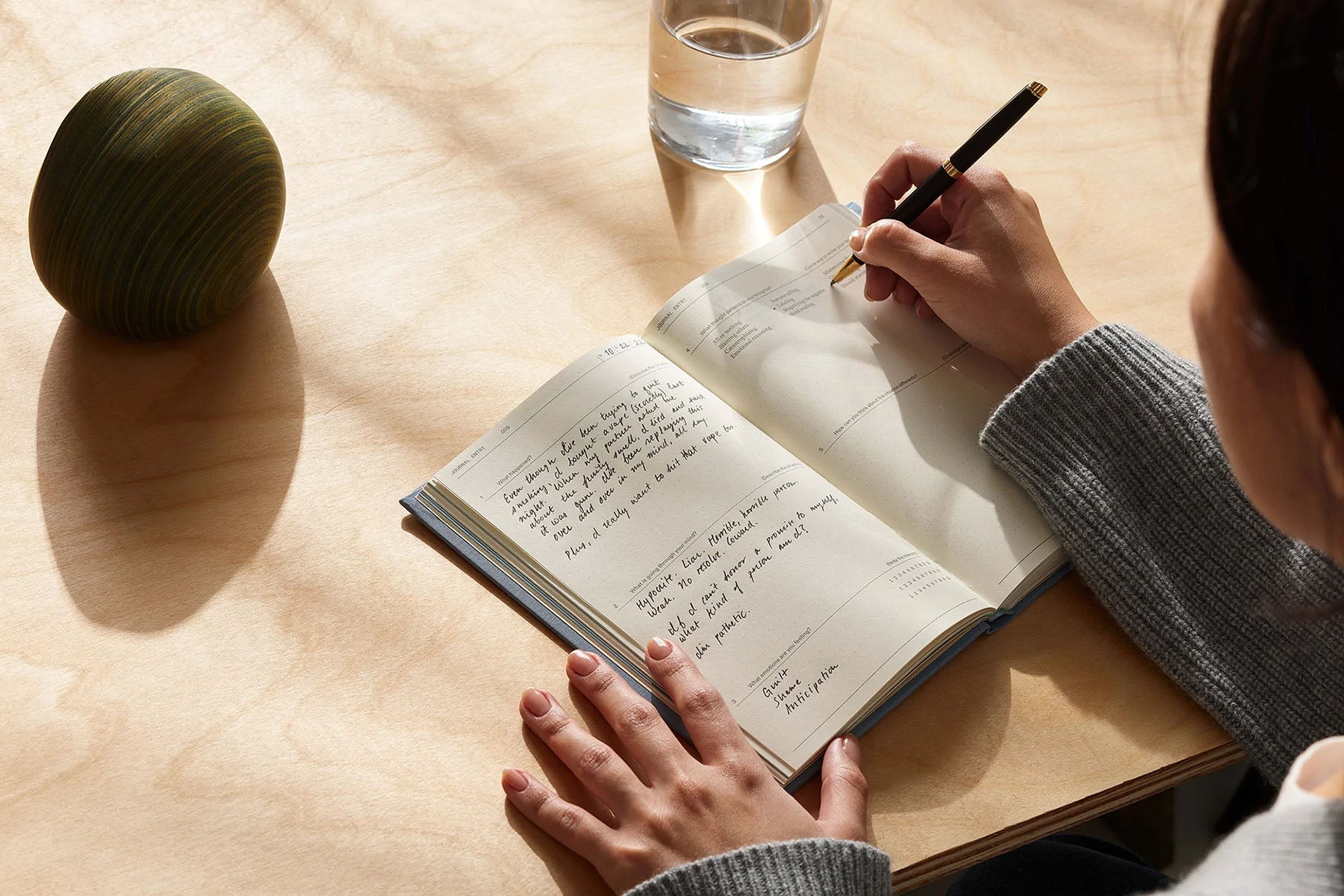 The Anti-Anxiety Notebook, The Therapy Journal, papierniczy design