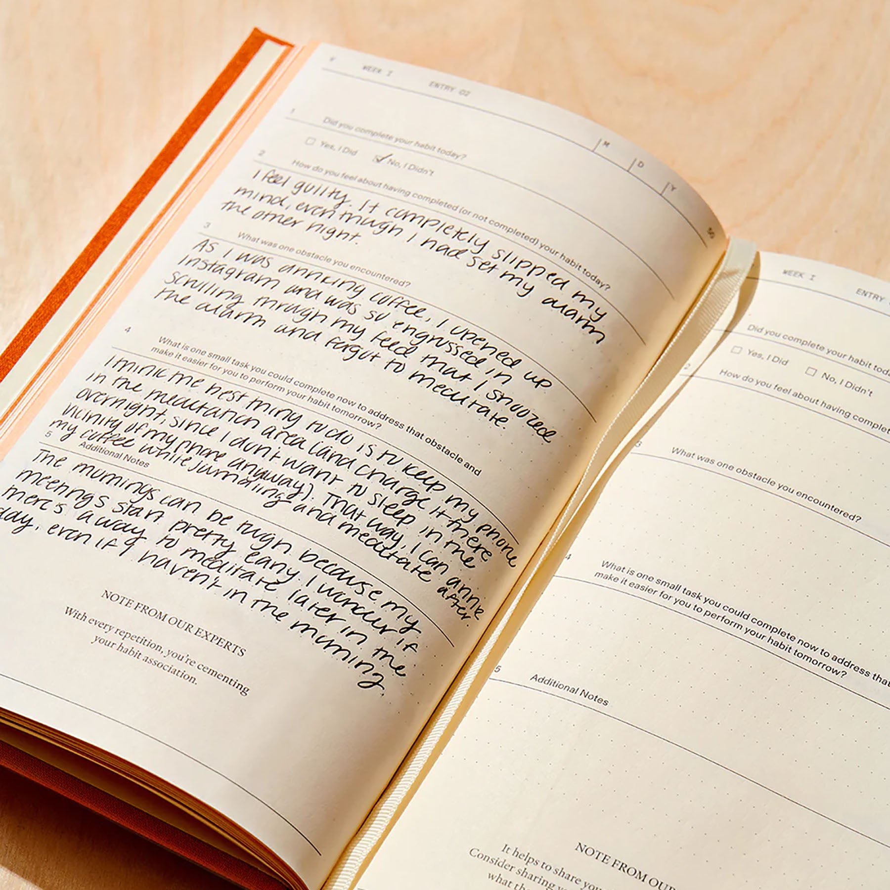 The Build-a-Habit Guide, Therapy Notebooks, papierniczy design