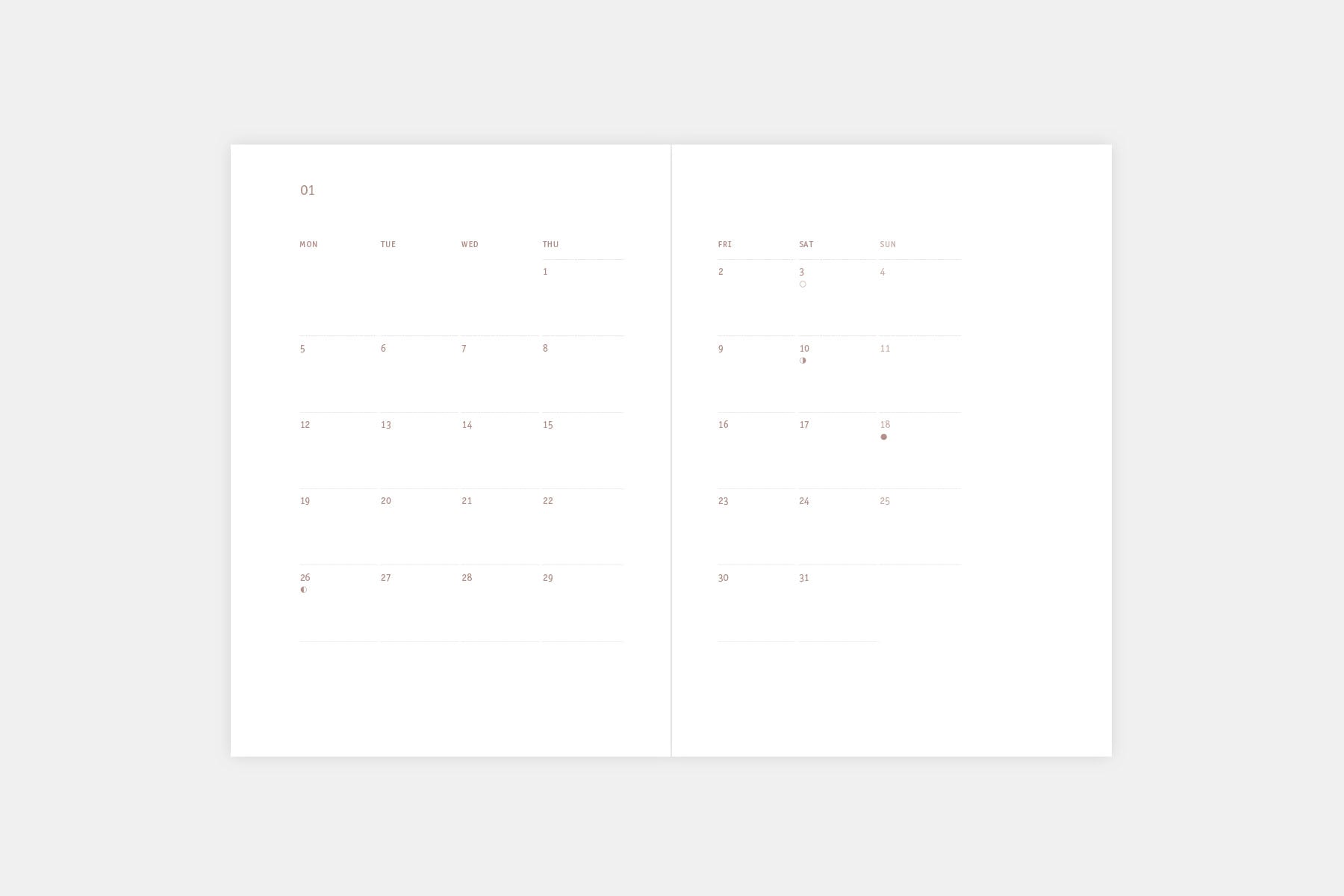 Kalendarz dzienny Everyday 2026 – bawełna, Papierniczeni, papierniczy design