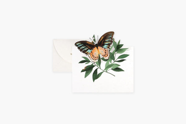 Kartka pop-up – motyl na gałązce, UWP Luxe, papierniczy design