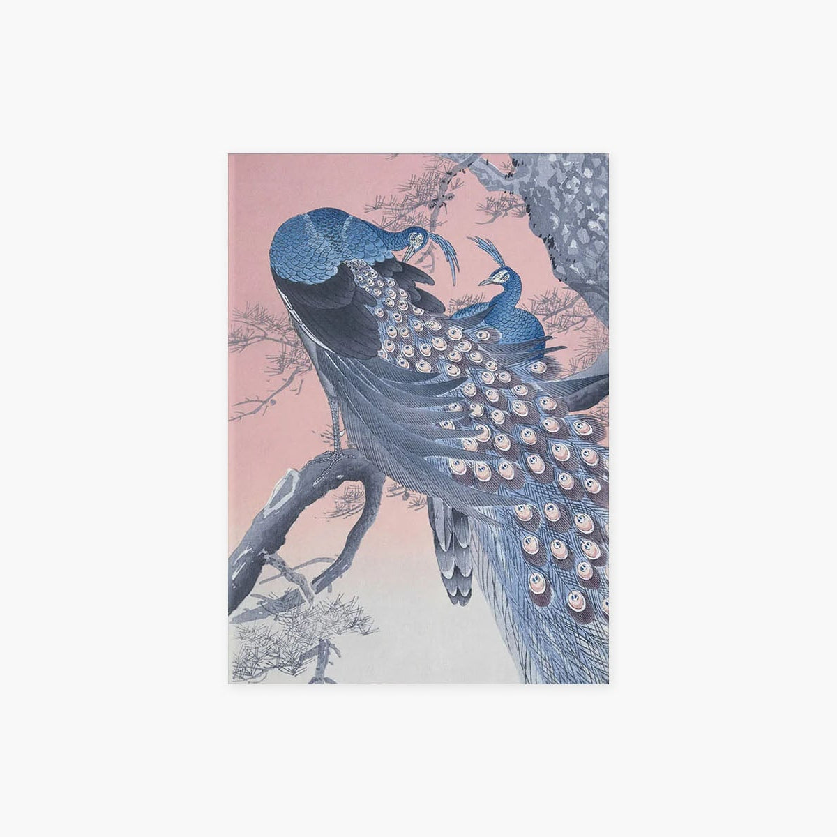Kartka Lovebirds – pawie, Suska&Kabsch, design sklep papierniczy, domowe biuro