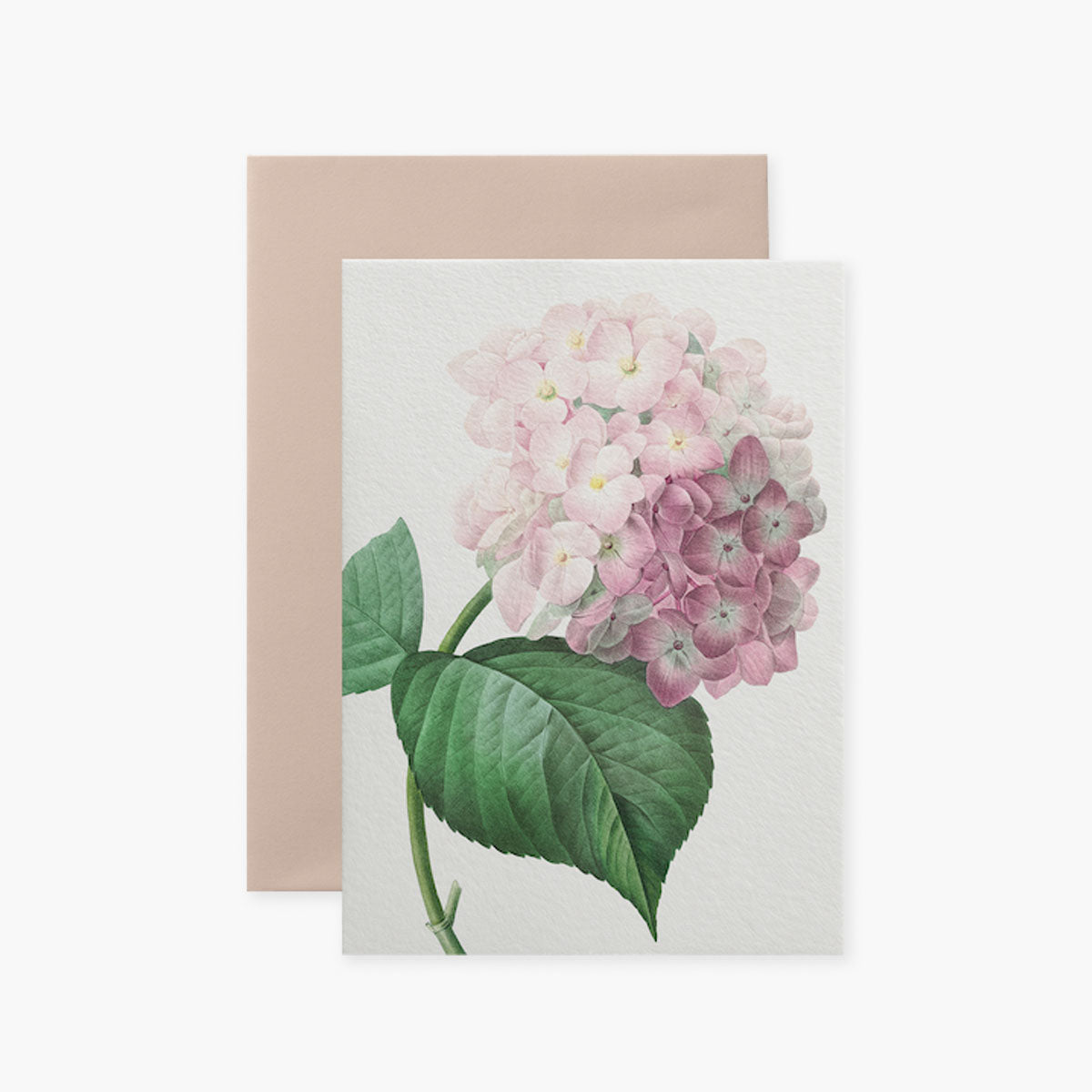 Kartka Big Flower I – Hortensja, Suska&Kabsch, papierniczy design, karka okolicznościowa