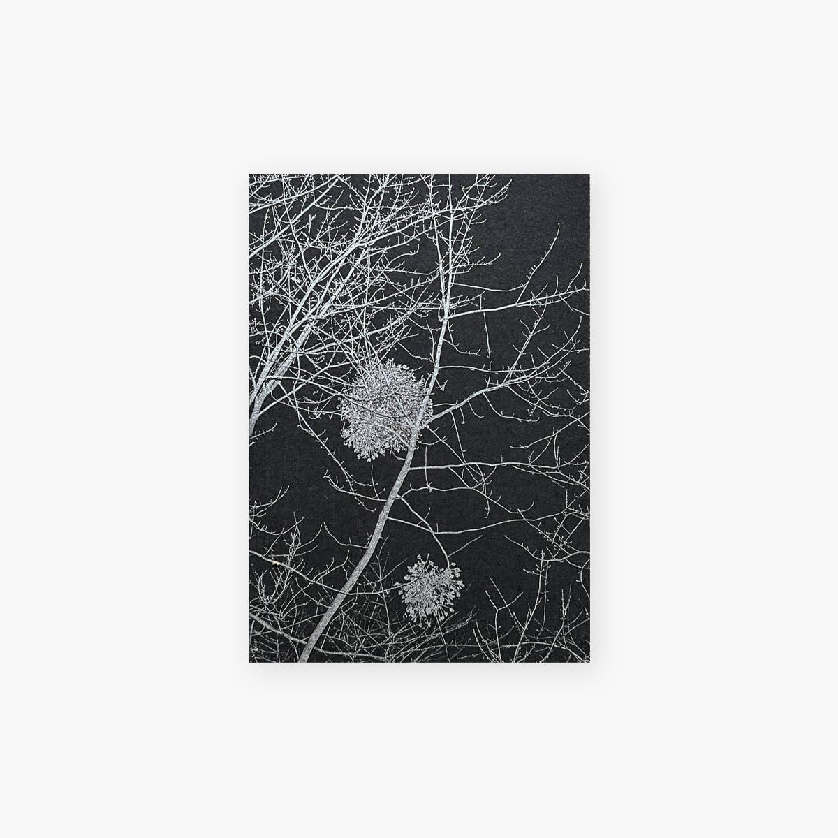 Notatnik – Jemioła, Curated Paper, papierniczy design