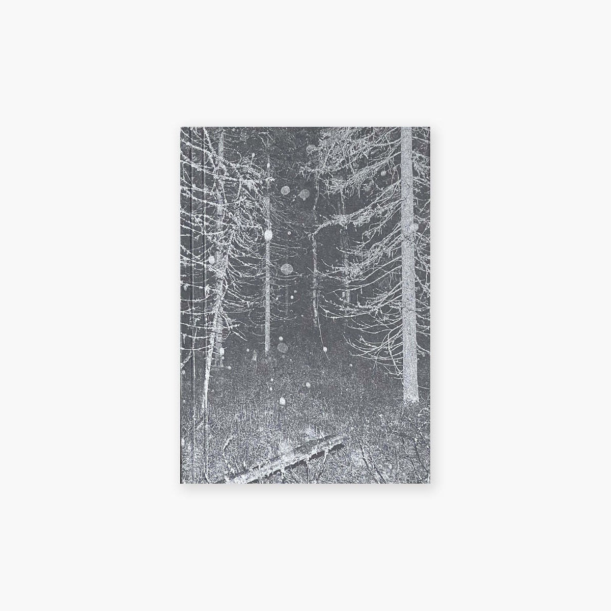 Notatnik – Las, Curated Paper. papierniczy design