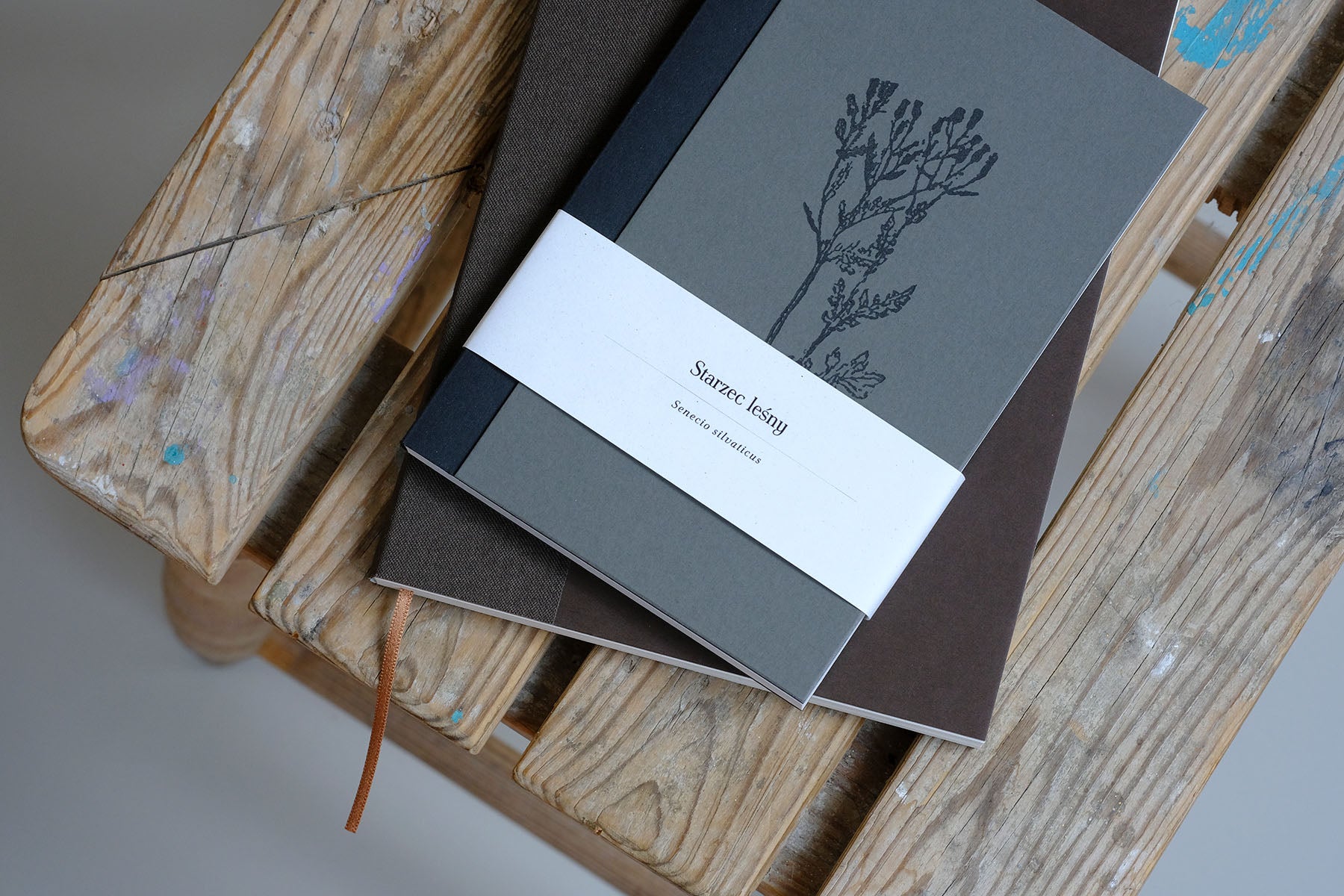 Notatnik Starzec Leśny – szary, Papier + Druk, papierniczy design