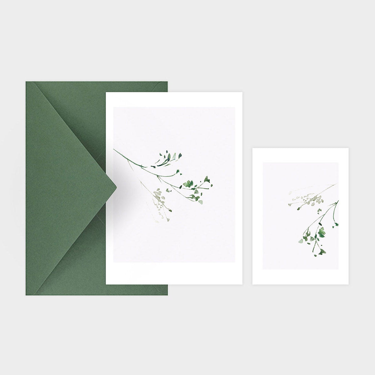 kartka herbarium, muska, kartka okolicznościowa, kartka ozdobna, kartka z motywem roślinnym, sklep papierniczy, dizajnerskie artykuły biurowe