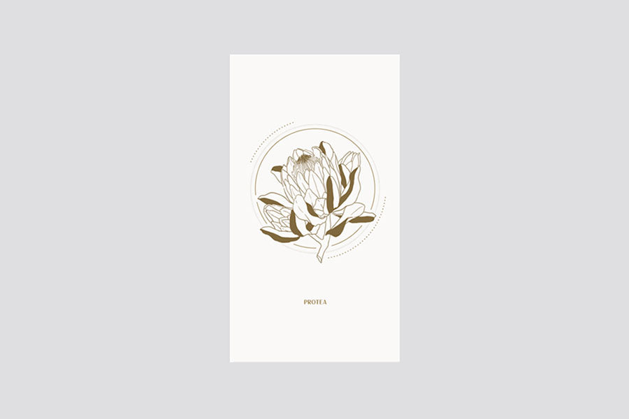 Kartka pop-up - protea, UWP Luxe, sklep papierniczy, dizajnerskie artykuły biurowe