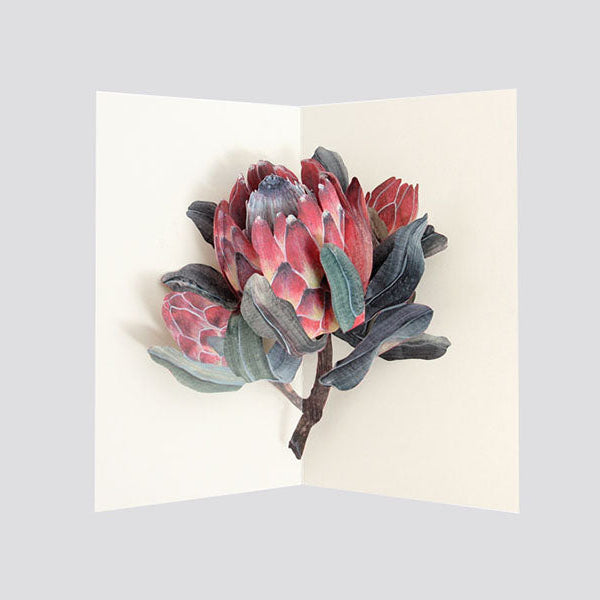 Kartka pop-up - protea, UWP Luxe, sklep papierniczy, dizajnerskie artykuły biurowe