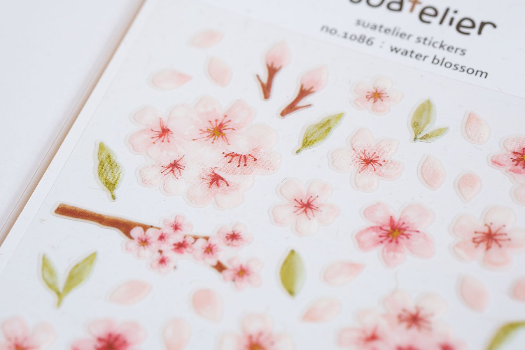 Ozdobne naklejki – kwiat wiśni, Suatelier, design sklep papierniczy, domowe biuro