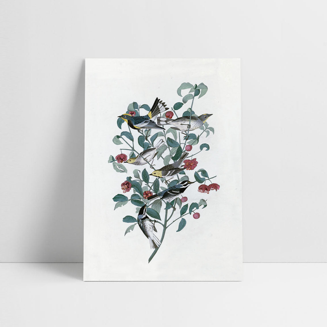 Kartka J.J. Audubon I, Suska&Kabsch, design sklep papierniczy, domowe biuro