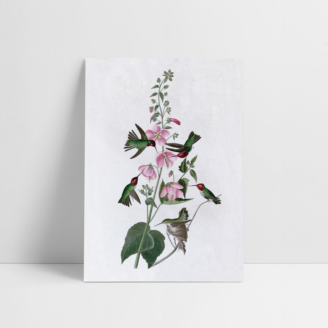 Kartka J.J. Audubon II, Suska&Kabsch, design sklep papierniczy, domowe biuro