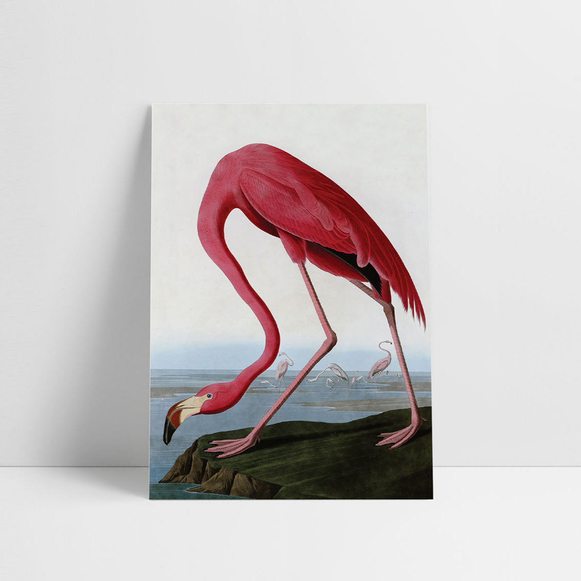Kartka J.J. Audubon IV, Suska&Kabsch, design sklep papierniczy, domowe biuro