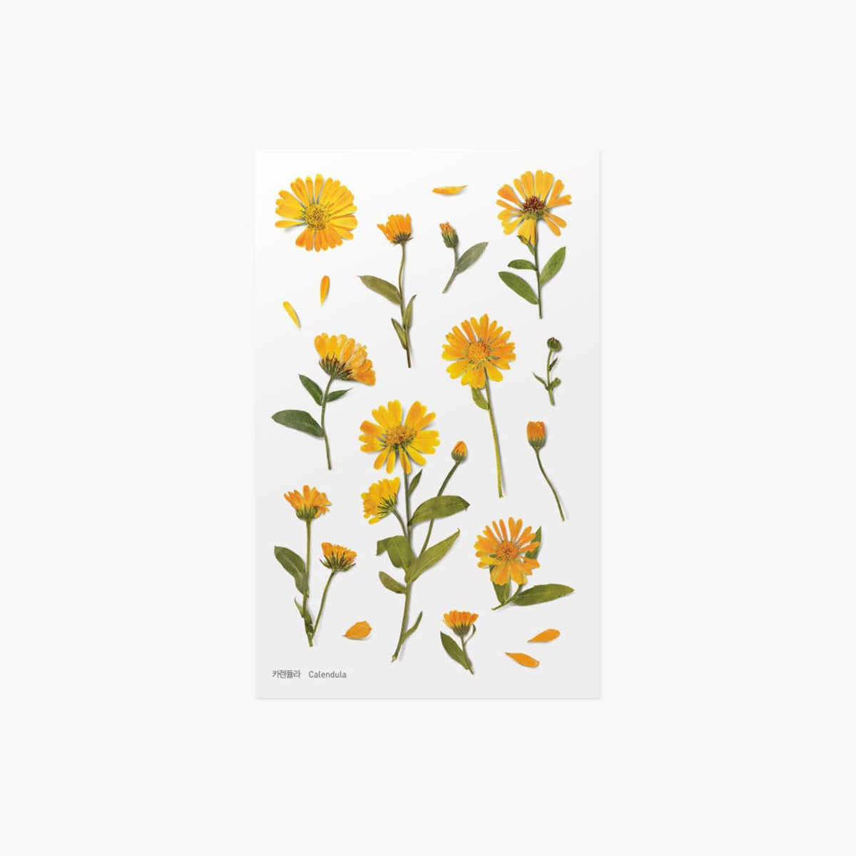 Ozdobne naklejki z kwiatowym motywem, Appree, design sklep papierniczy, domowe biuro
