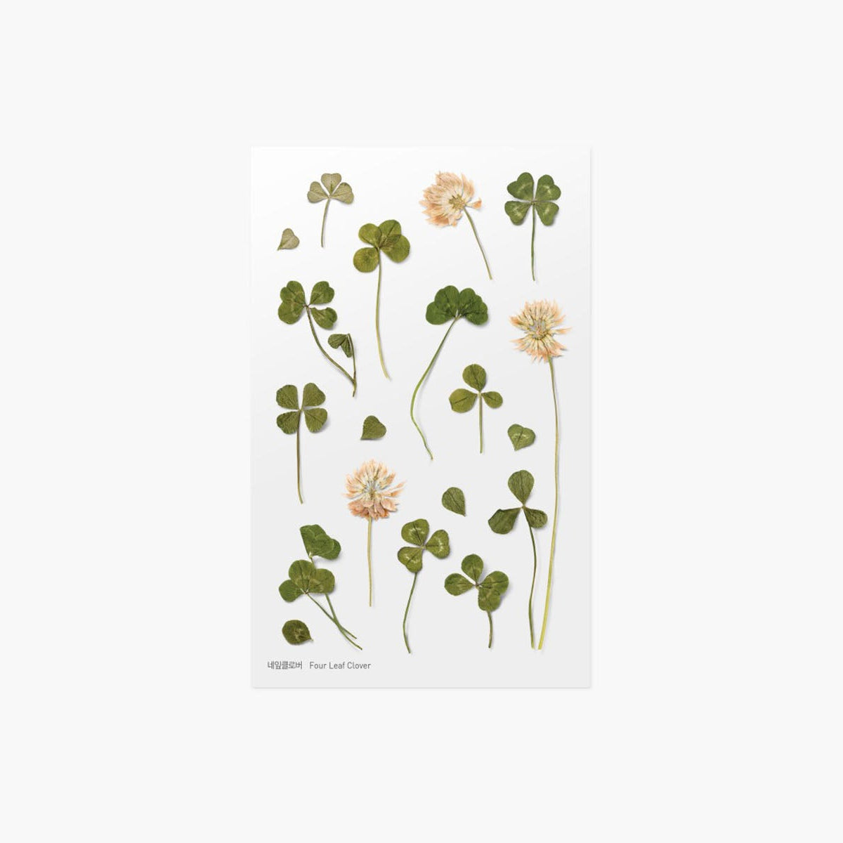 Ozdobne naklejki z roślinnym motywem, Appree, design sklep papierniczy, domowe biuro