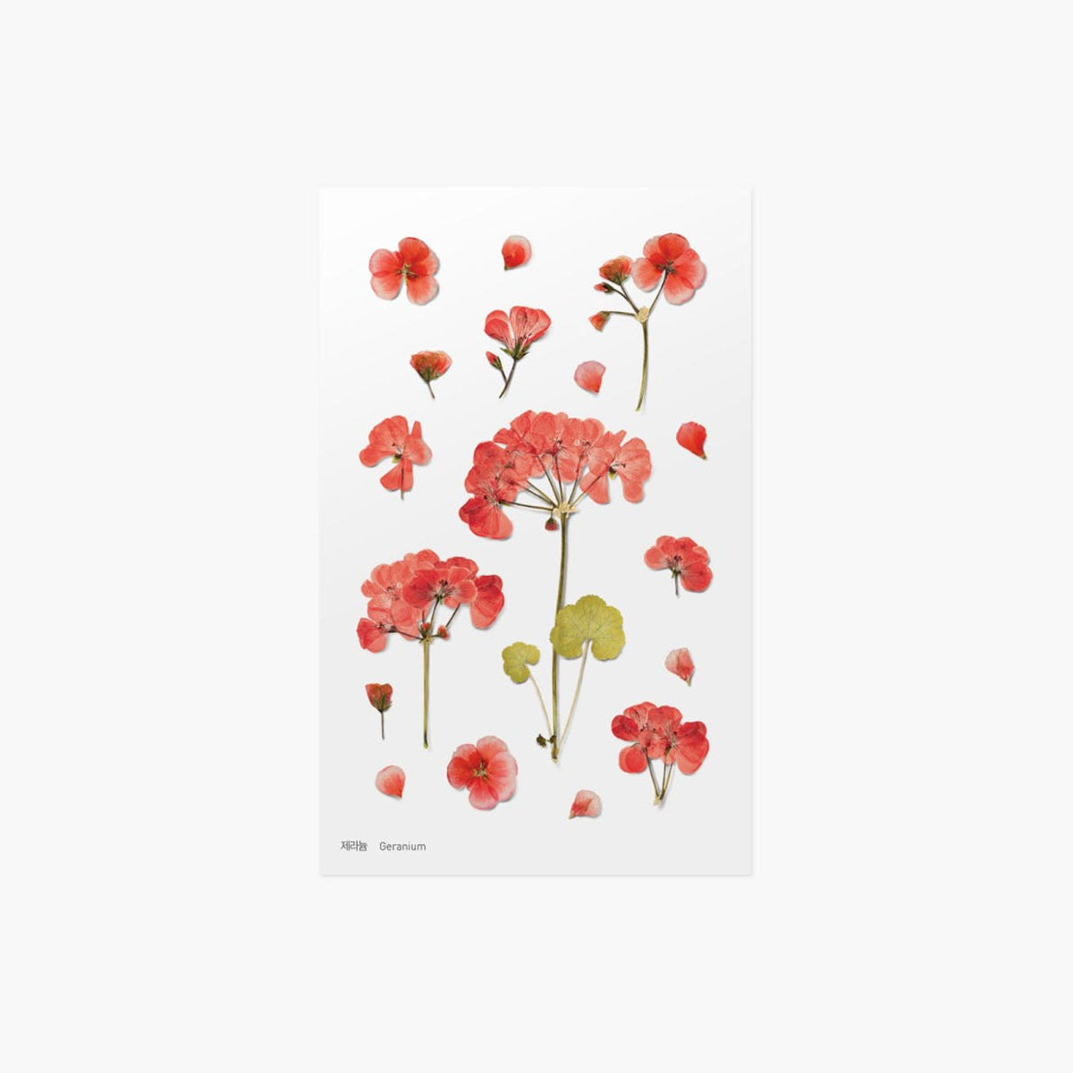 Ozdobne naklejki z kwiatowym motywem, Appree, design sklep papierniczy, domowe biuro