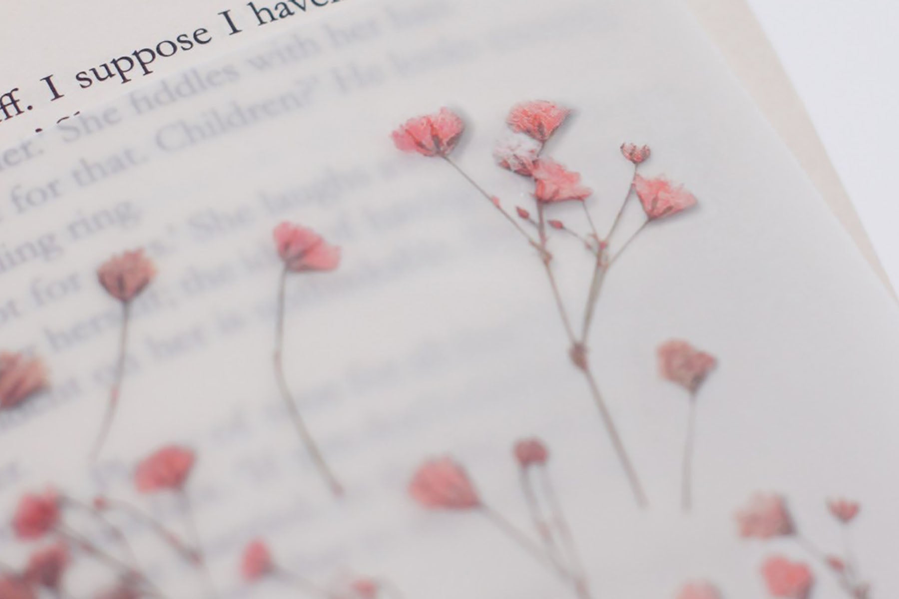 Ozdobne naklejki – gypsophila