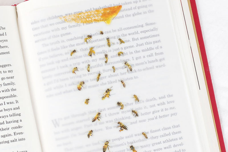 Ozdobne naklejki z pszczołami, Appree, design sklep papierniczy, domowe biuro
