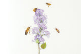 Ozdobne naklejki z pszczołami, Appree, design sklep papierniczy, domowe biuro