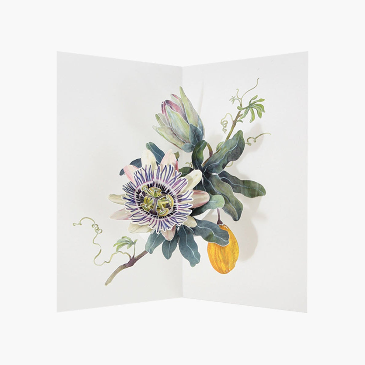 Kartka pop-up – Passion Flower, UWP Luxe, papierniczy design
