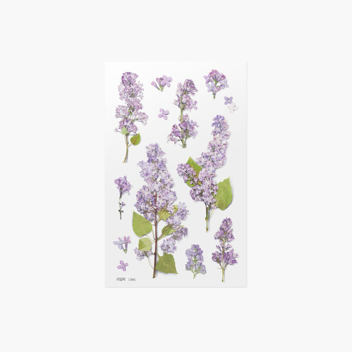 Ozdobne naklejki z kwiatowym motywem, Appree, design sklep papierniczy, domowe biuro