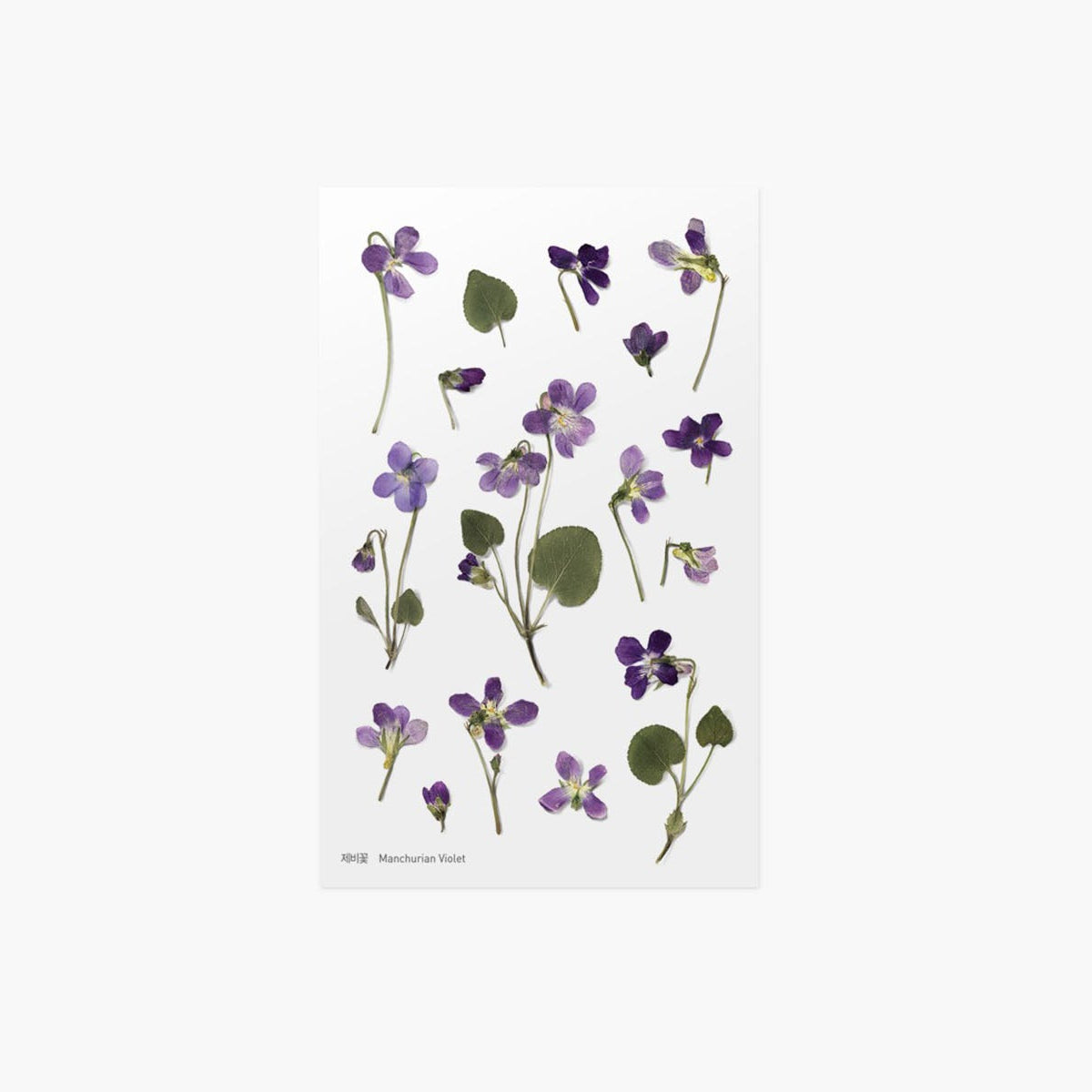 Ozdobne naklejki z kwiatowym motywem, Appree, design sklep papierniczy, domowe biuro