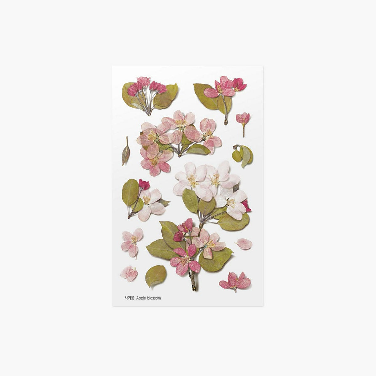 Ozdobne naklejki z roślinnym motywem, Appree, design sklep papierniczy, domowe biuro