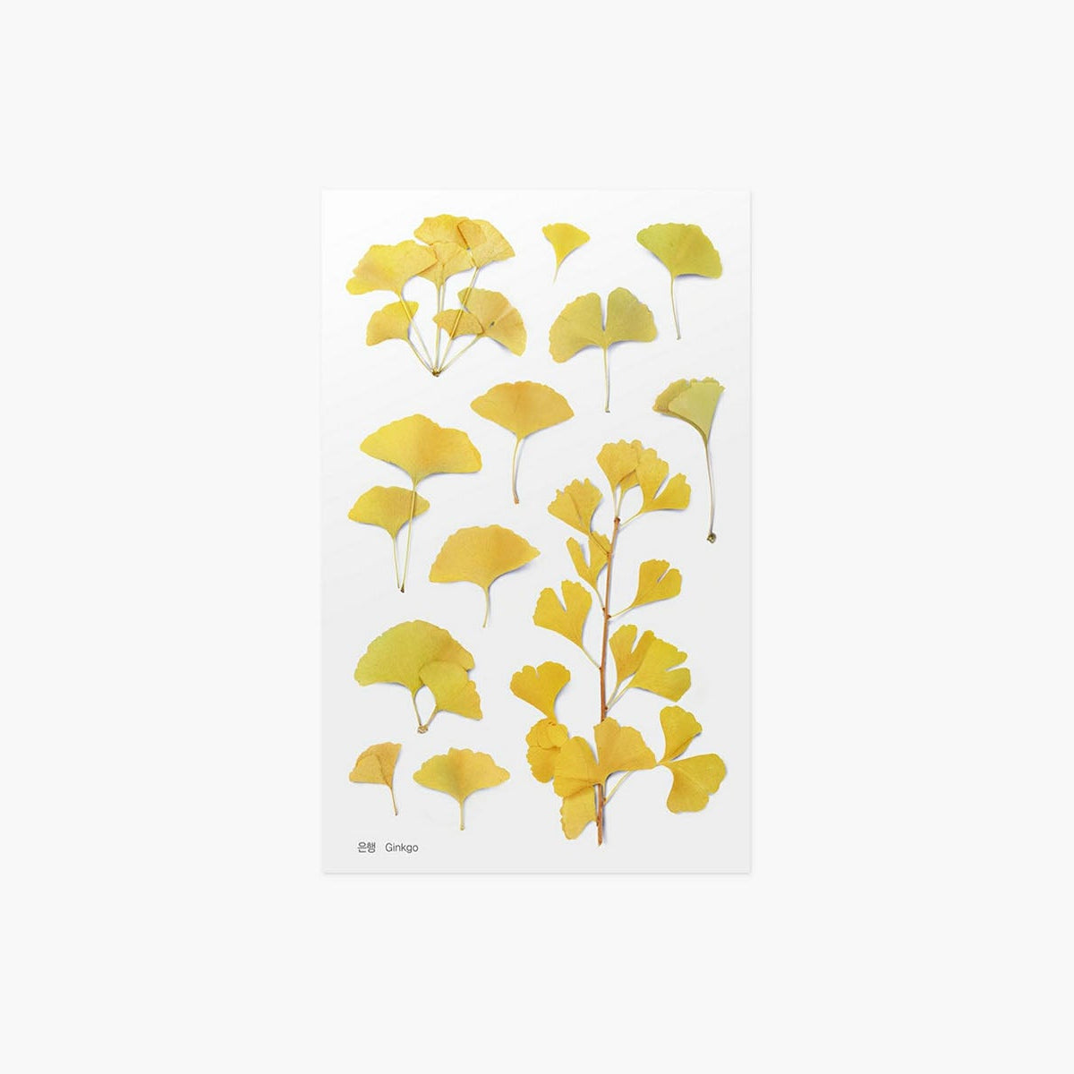 Ozdobne naklejki z roślinnym motywem, Appree, design sklep papierniczy, domowe biuro
