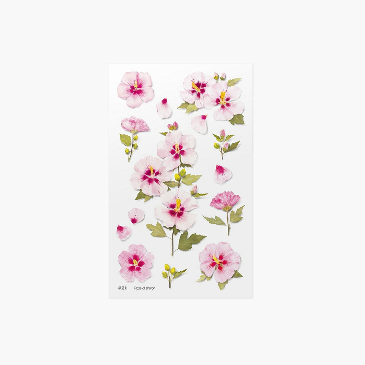 Ozdobne naklejki z roślinnym motywem, Appree, design sklep papierniczy, domowe biuro