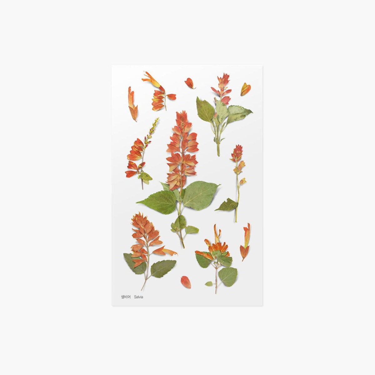 Ozdobne naklejki z kwiatowym motywem, Appree, design sklep papierniczy, domowe biuro