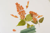 Ozdobne naklejki z kwiatowym motywem, Appree, design sklep papierniczy, domowe biuro